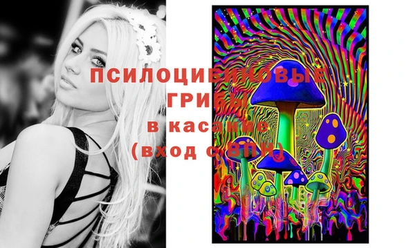 трава Гусиноозёрск