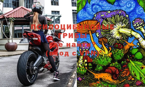 синтетический гашиш Гусев