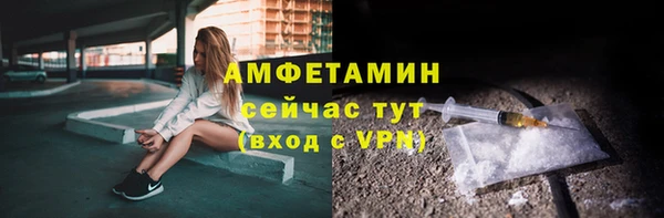 трава Гусиноозёрск
