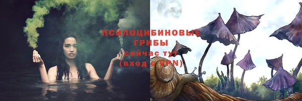 трава Гусиноозёрск