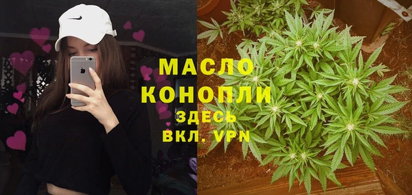 трава Гусиноозёрск