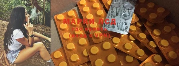 трава Гусиноозёрск