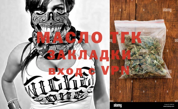 трава Гусиноозёрск