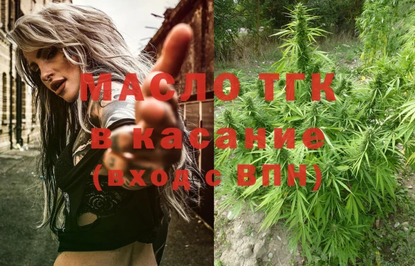 трава Гусиноозёрск