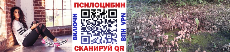 нарко площадка состав  наркотики  Михайлов  Галлюциногенные грибы Psilocybe 